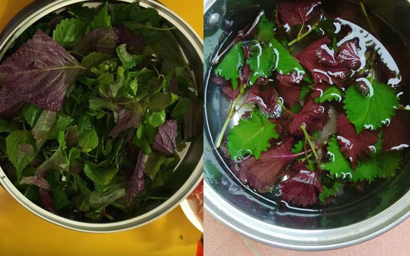 Đơn giản – dễ làm với nước tía tô dùng để tắm trắng tại nhà