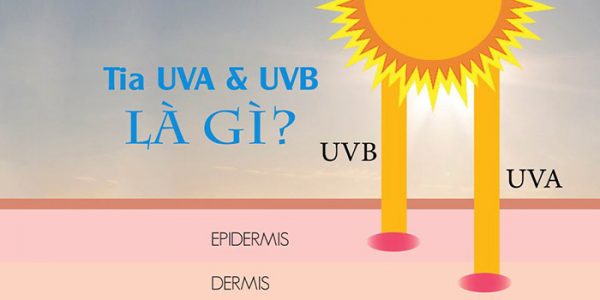 Tia UVAVà UVBLà Gì? Tác Hại Của Tia UV Đối Với Da