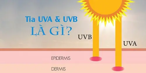 Tia UVAVà UVBLà Gì? Tác Hại Của Tia UV Đối Với Da